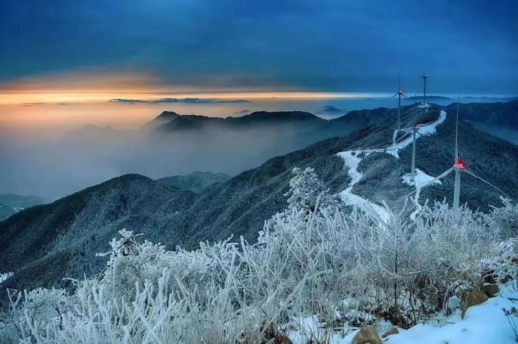 https://r.sinaimg.cn/large/article/b6ae0439dbe8e29ecf31882f62d6b780