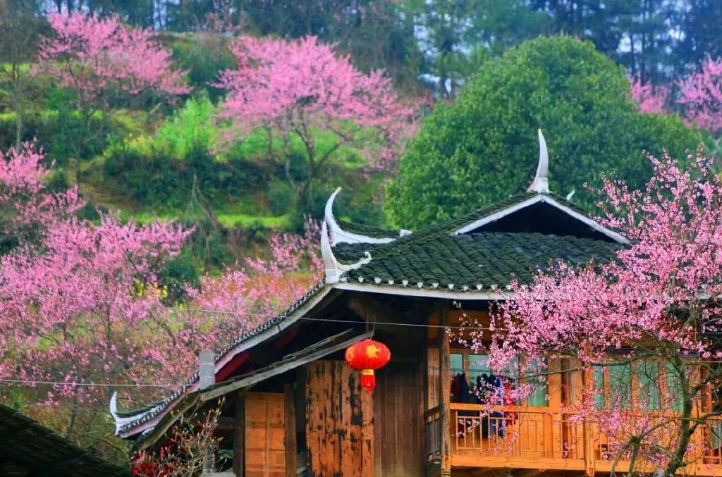 https://r.sinaimg.cn/large/article/140cb5a877a39e5f4d5d438ef42df1d2