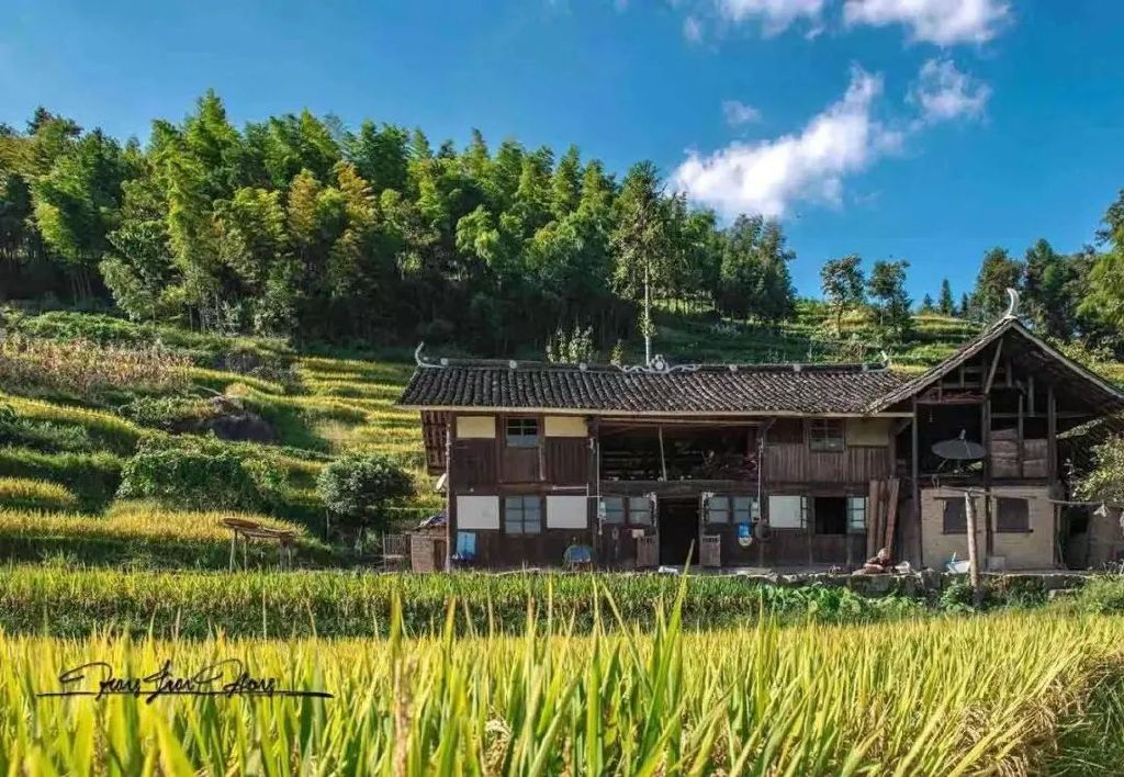 https://r.sinaimg.cn/large/article/45580b6ea31cdfca697e18e426c68380