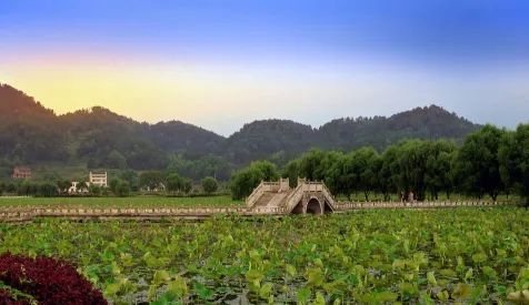 https://r.sinaimg.cn/large/article/00b81c993459084dda4b7161889a7a30