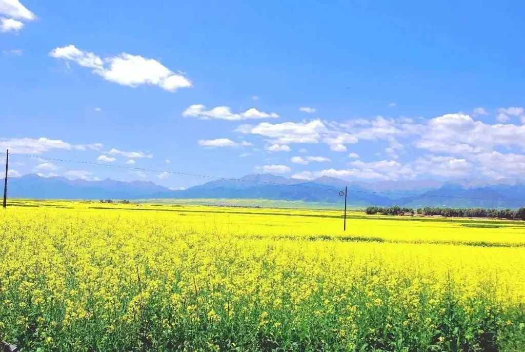 https://r.sinaimg.cn/large/article/6013c0f110996bdb8acf184fdac0f91d