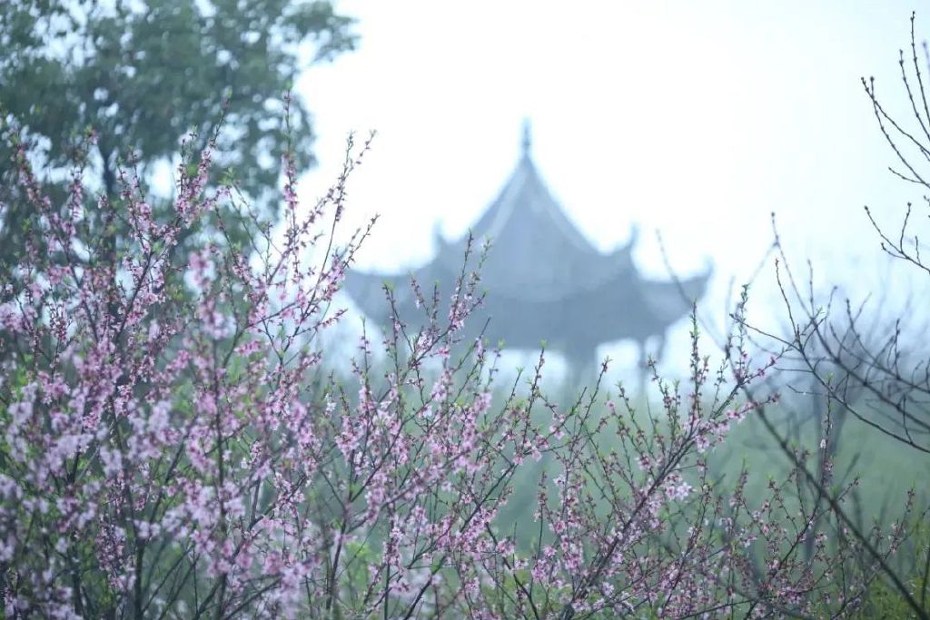 https://r.sinaimg.cn/large/article/a4f321998c0b9f7e63263f76551fca20