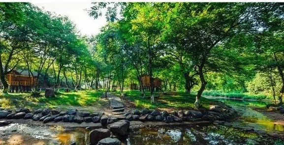 https://r.sinaimg.cn/large/article/a58d60a5ab118b64399aa052d283594c