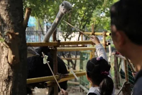 https://r.sinaimg.cn/large/article/4a11e826237aeeb1184450bb5fcf9af0