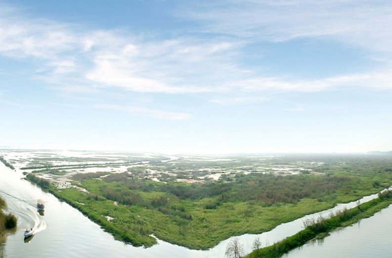 泗洪洪泽湖湿地