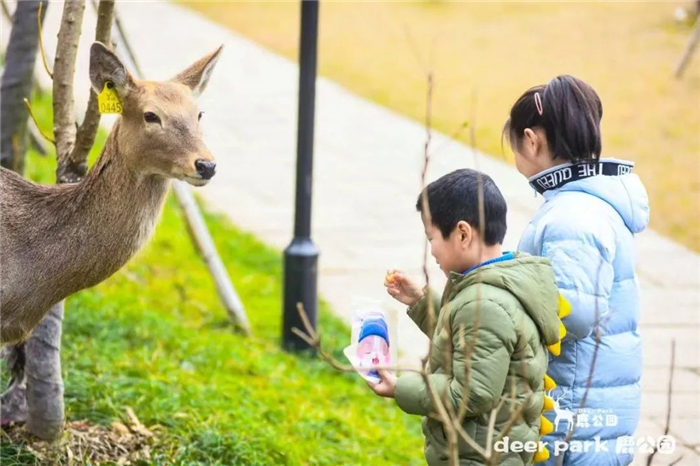 杭州deer park鹿公园