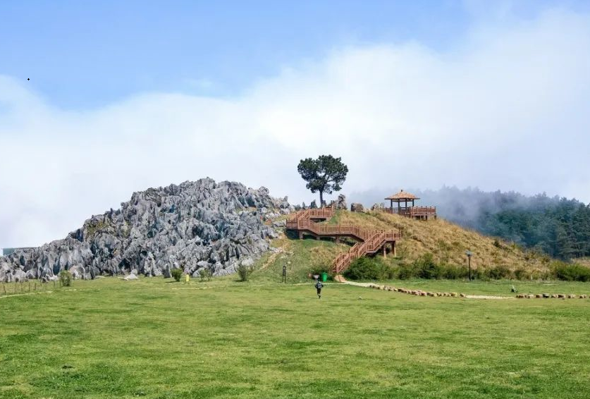 2021千野草场门票图片