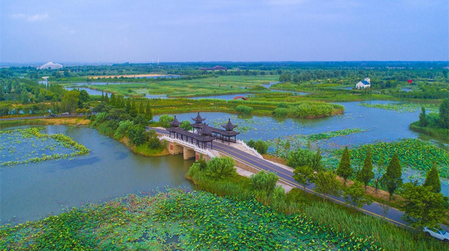洪泽湖湿地公园图片图片