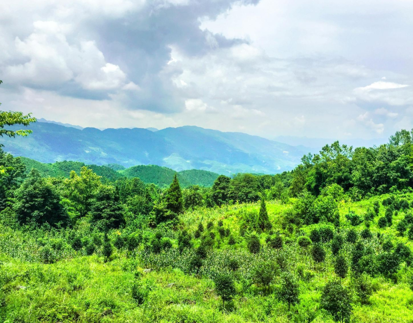 重庆摩围山景区门票