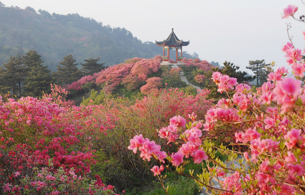 木王國家森林公園門票