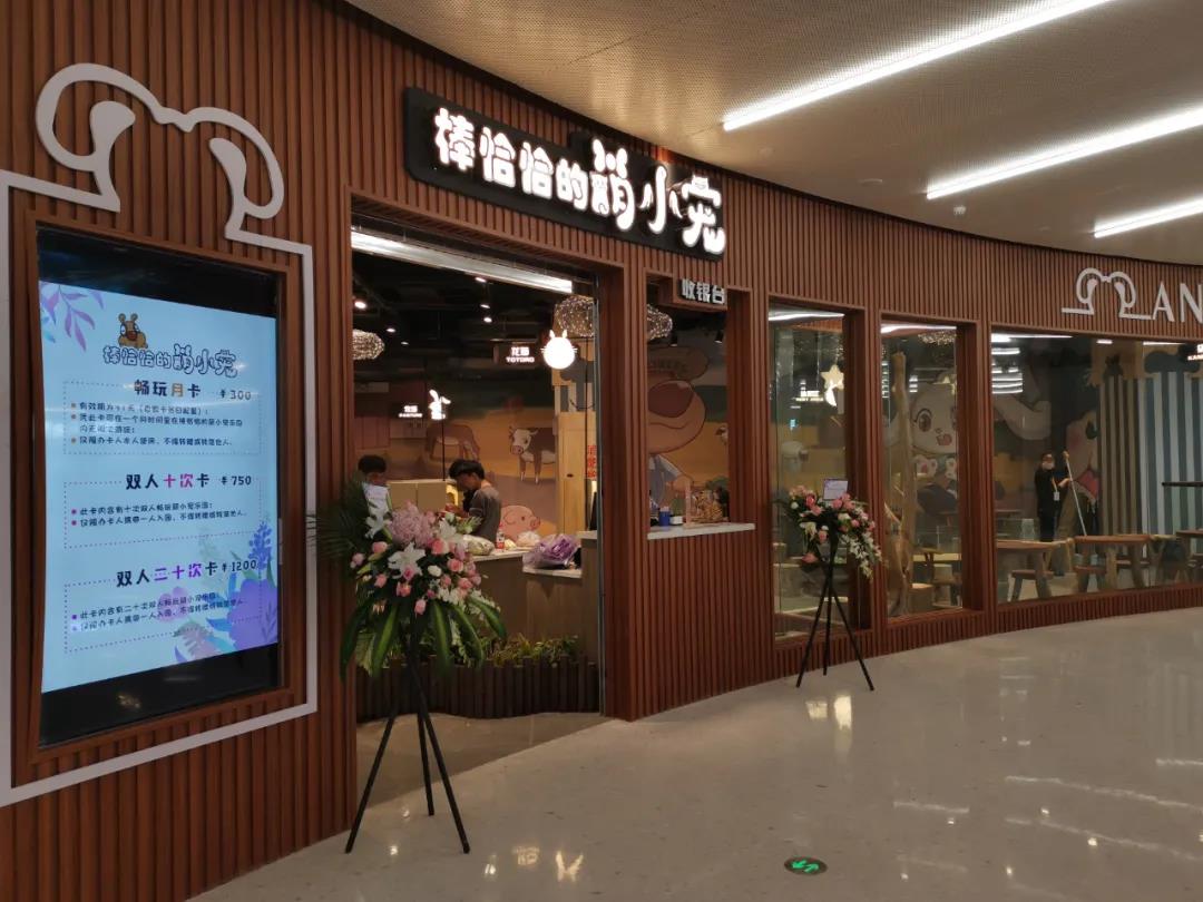 郑州棒恰恰的萌小宠