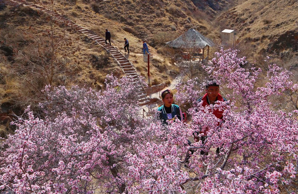 中卫寺口子景区