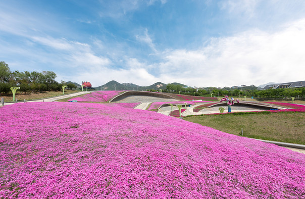 青岛世界园艺博览园