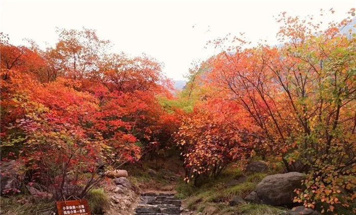 咸陽鄭國渠風(fēng)景區(qū)門票