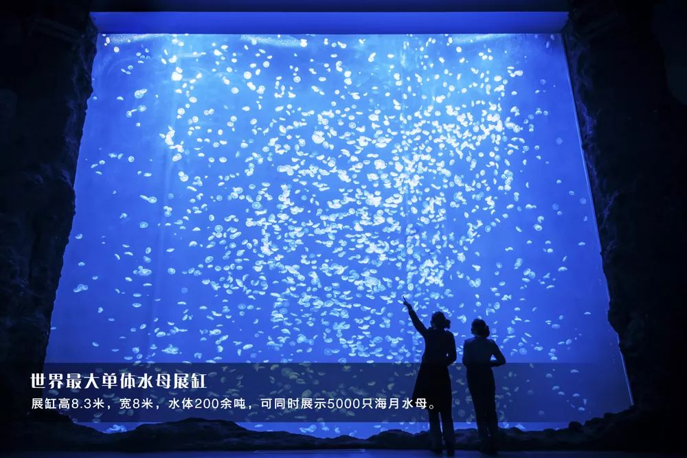 微信图片_20220422121933.jpg