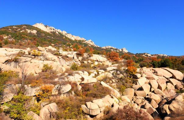 嶧山風(fēng)景區(qū)門票