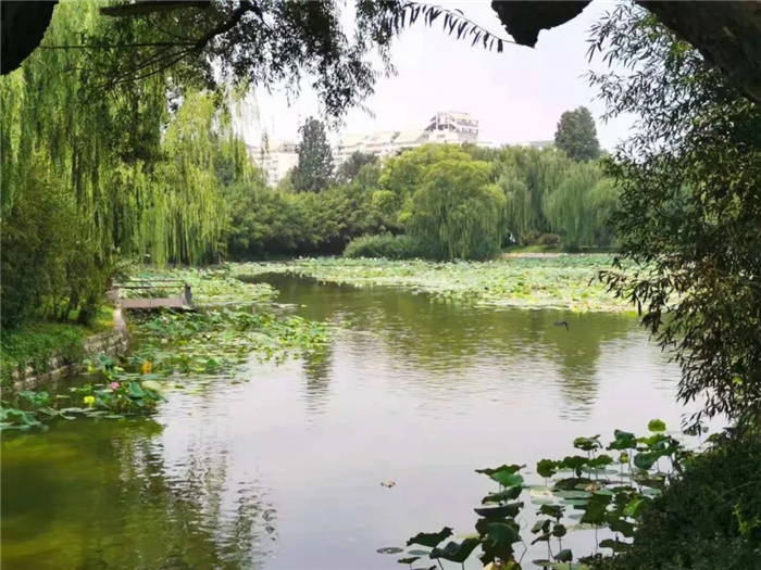 紫竹院公园门票