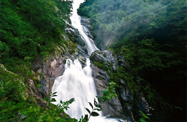 東天目山門票