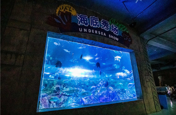 南京海底世界年卡
