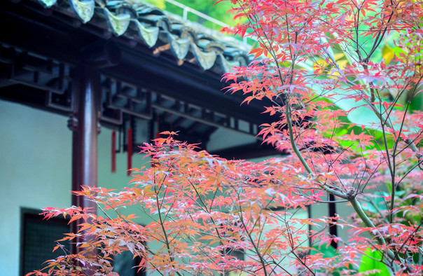 南京瞻園門票