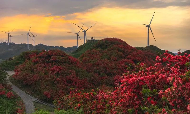 五一假期 | 精品三日游路線推薦，觀醉美遵義，享 一路酒香~