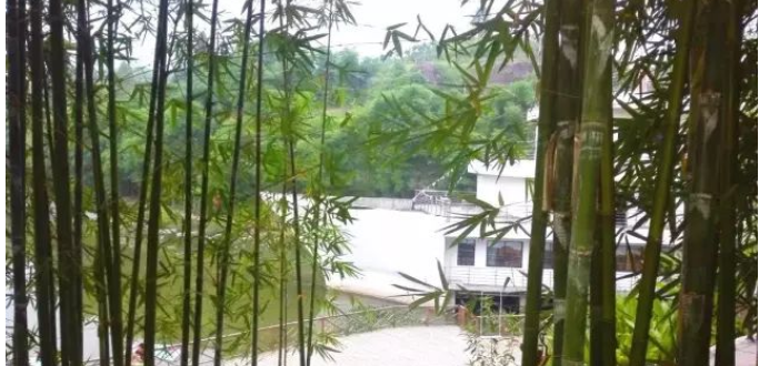 /uploads/image/2022/04/28/7c18831cbbded9523441f84f4b7bc9fb.png image.png