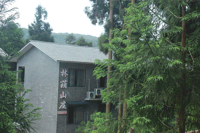 640 (2).gif