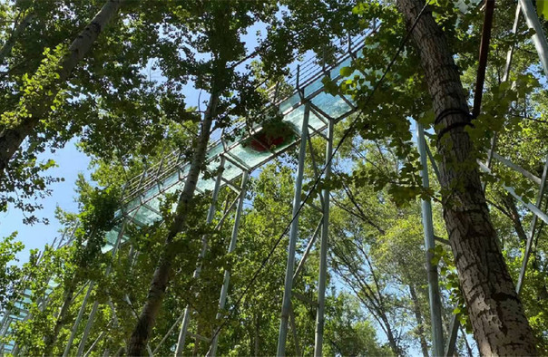 汾阳上林舍生态旅游度假区