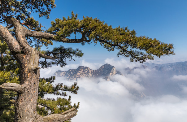 渭南華山門票