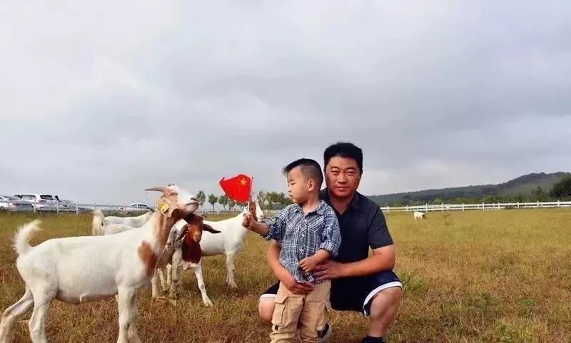 https://r.sinaimg.cn/large/article/cca92416571f909159c7025e5048a3c8