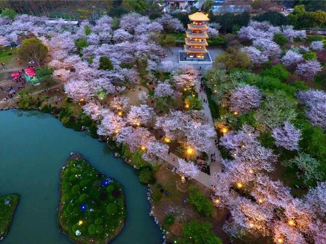 武漢東湖磨山櫻園門票價(jià)格介紹 附櫻園夜景攻略