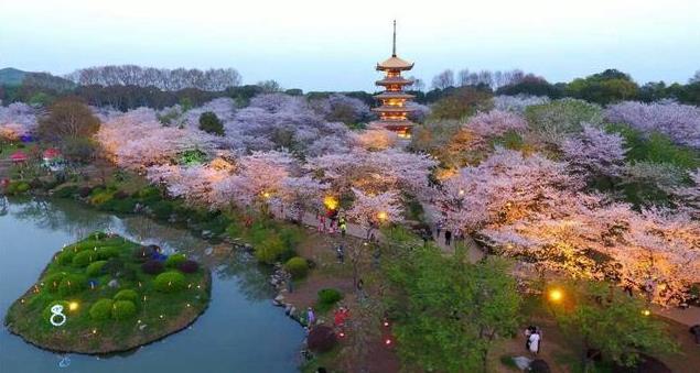 武漢東湖磨山櫻園門票價(jià)格介紹 附櫻園夜景攻略