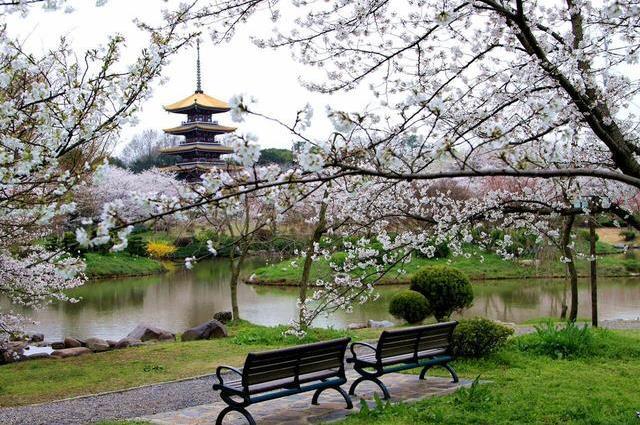 武漢東湖磨山櫻園門票價(jià)格介紹 附櫻園夜景攻略