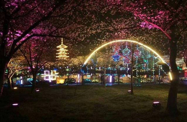 武漢東湖磨山櫻園門票價(jià)格介紹 附櫻園夜景攻略