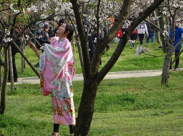 武漢東湖磨山櫻園門票價(jià)格介紹 附櫻園夜景攻略