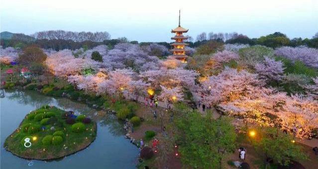 武漢東湖磨山櫻園門票價(jià)格介紹 附櫻園夜景攻略