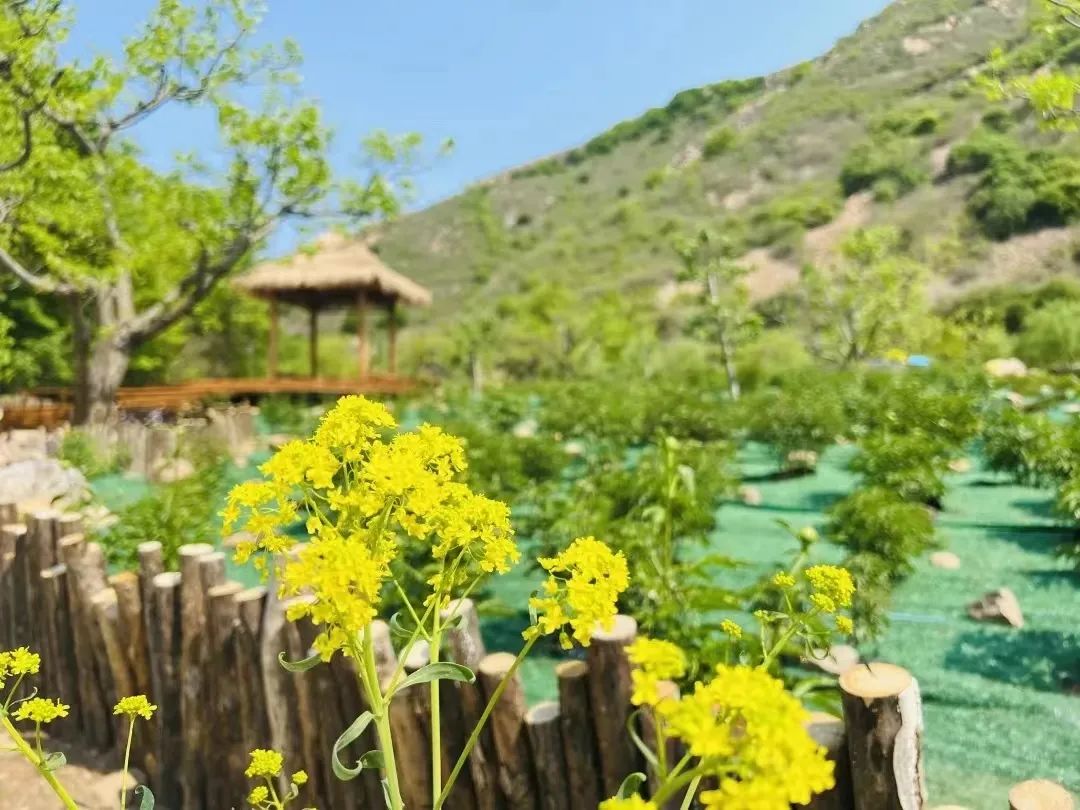 母亲节 | 所有妈妈游梨木台免门票，随行家人享优惠