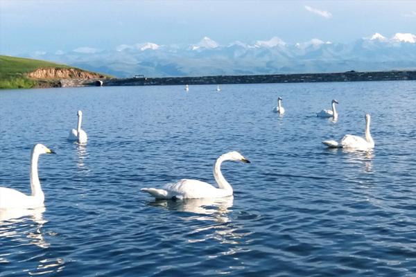 天山旅游最佳季節(jié) 新疆天山景點(diǎn)介紹