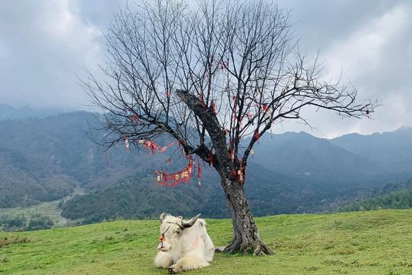 神木壘適合什么時候去?露營好玩嗎?