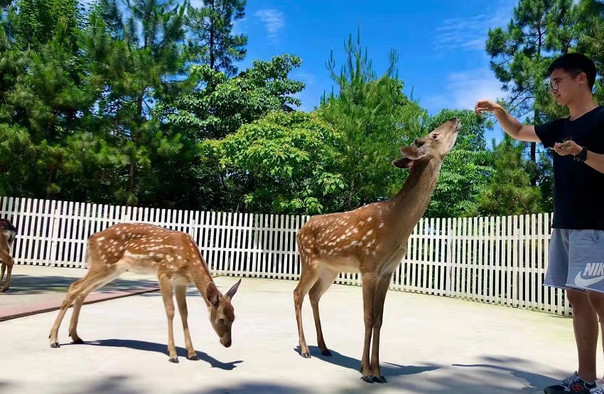 眉山天府茶靈谷山地運動公園