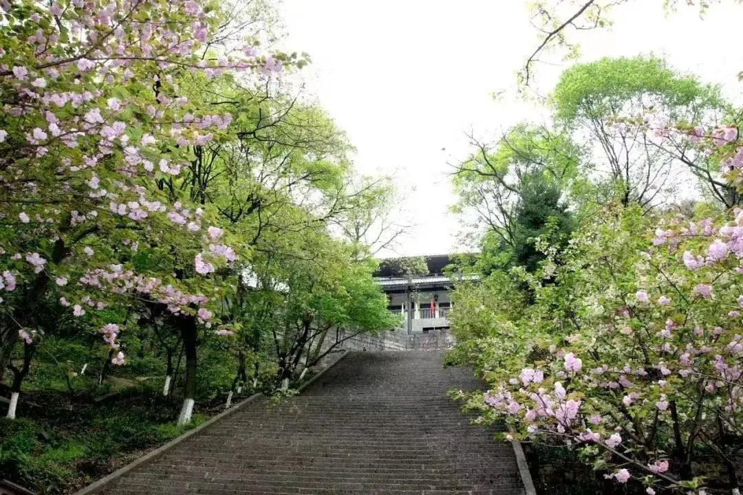 微信图片_20220513171750.jpg