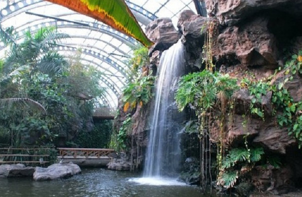 天津热带植物观光园门票