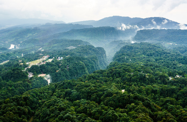 碧峰峡门票