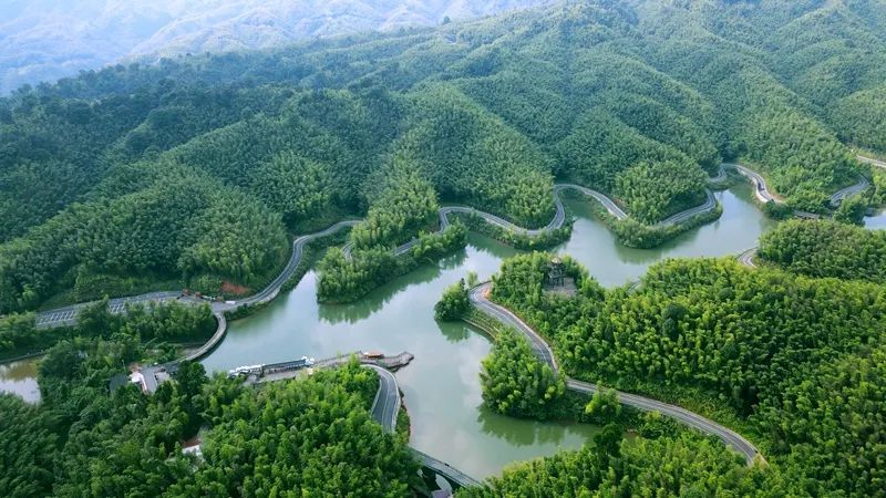 赤水竹海国家森林公园图片