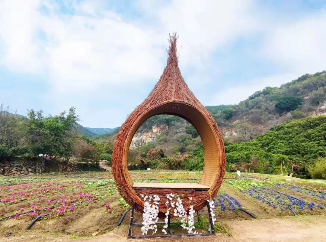 泉州鮮花港門票