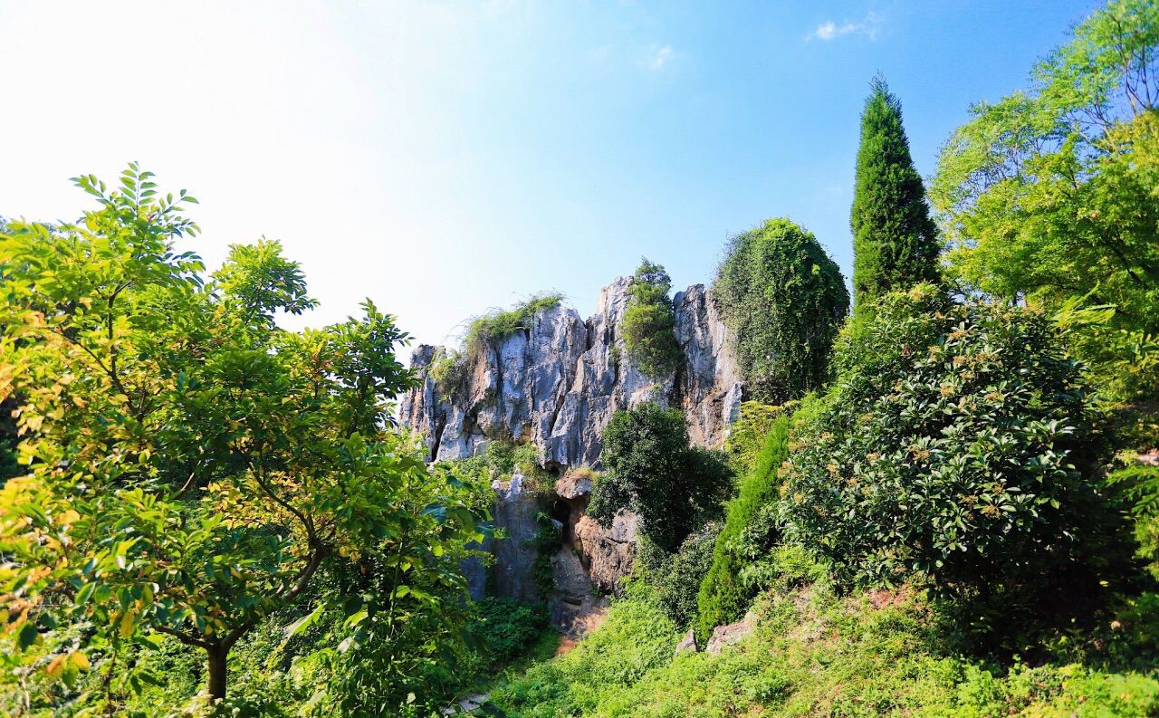 苏州三山岛门票