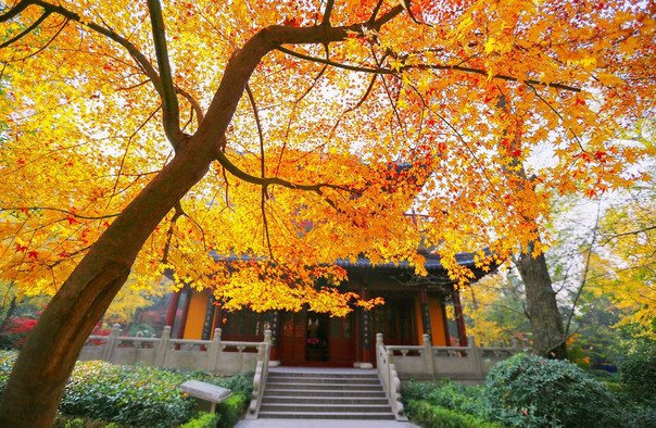 南京棲霞山門票