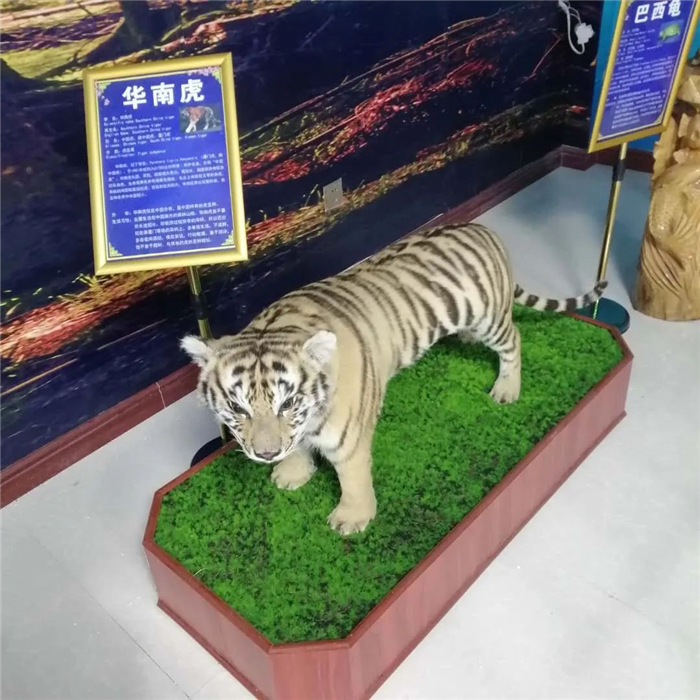 龍口動植物園門票