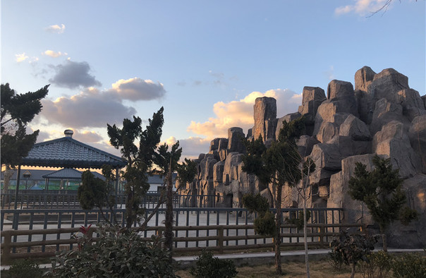 龍口動植物園門票