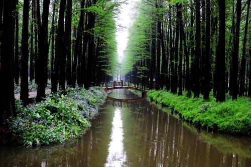 李中水上森林公園門票